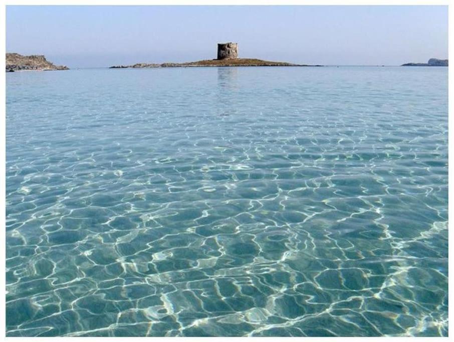 L' Elicriso, A Pochi Passi Dal Mare Con Giardino Privato - The Elicriso, A Few Meters From The Sea, With Private Garden Apartment Stintino Exterior photo