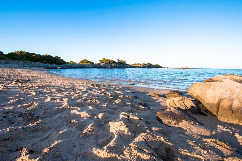 L' Elicriso, A Pochi Passi Dal Mare Con Giardino Privato - The Elicriso, A Few Meters From The Sea, With Private Garden Apartment Stintino Exterior photo
