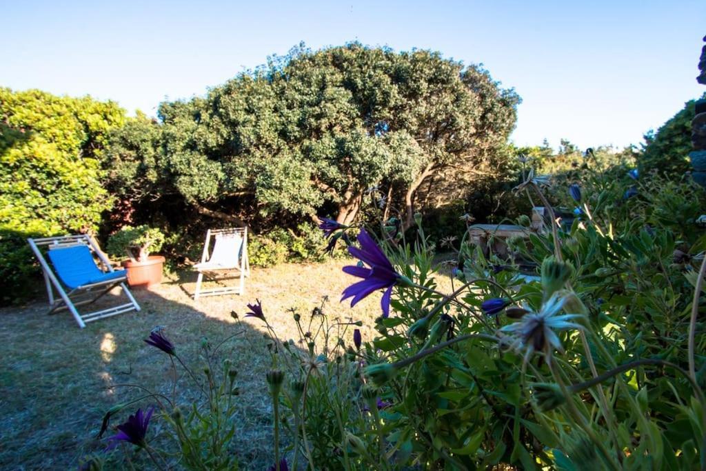 L' Elicriso, A Pochi Passi Dal Mare Con Giardino Privato - The Elicriso, A Few Meters From The Sea, With Private Garden Apartment Stintino Exterior photo