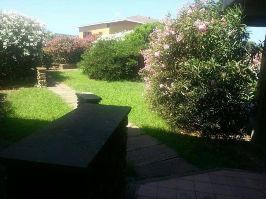 L' Elicriso, A Pochi Passi Dal Mare Con Giardino Privato - The Elicriso, A Few Meters From The Sea, With Private Garden Apartment Stintino Exterior photo