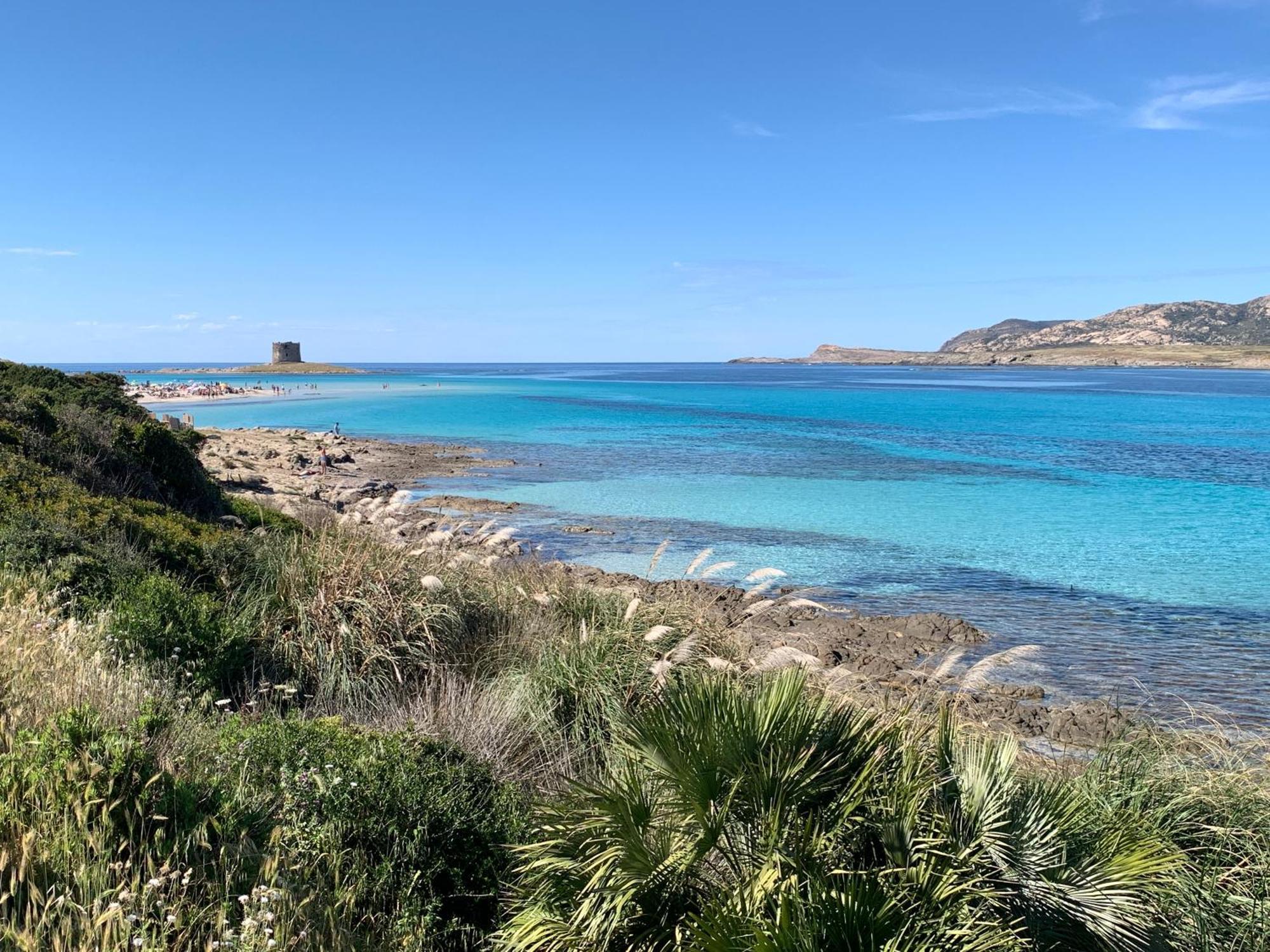 L' Elicriso, A Pochi Passi Dal Mare Con Giardino Privato - The Elicriso, A Few Meters From The Sea, With Private Garden Apartment Stintino Exterior photo