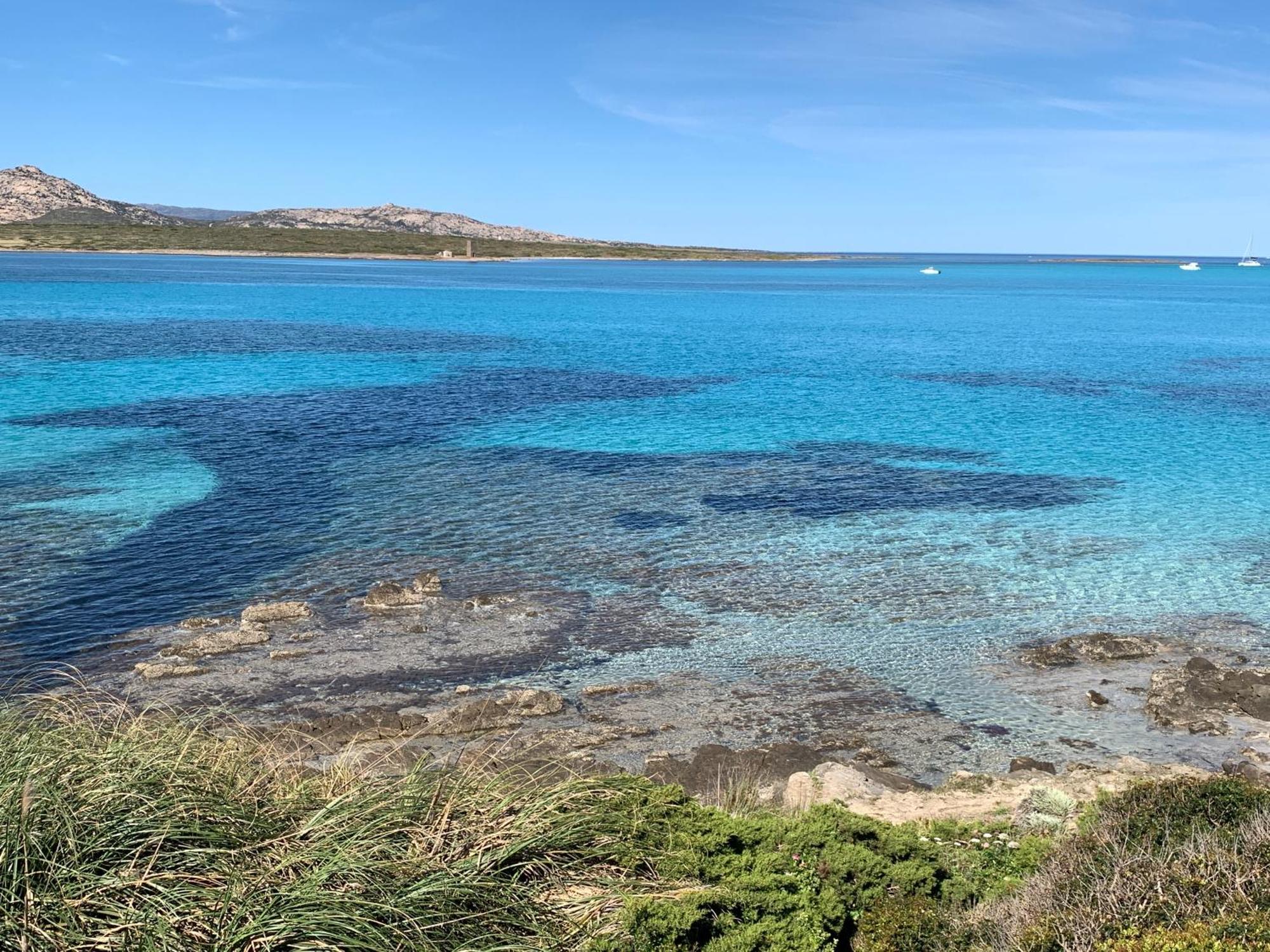 L' Elicriso, A Pochi Passi Dal Mare Con Giardino Privato - The Elicriso, A Few Meters From The Sea, With Private Garden Apartment Stintino Exterior photo